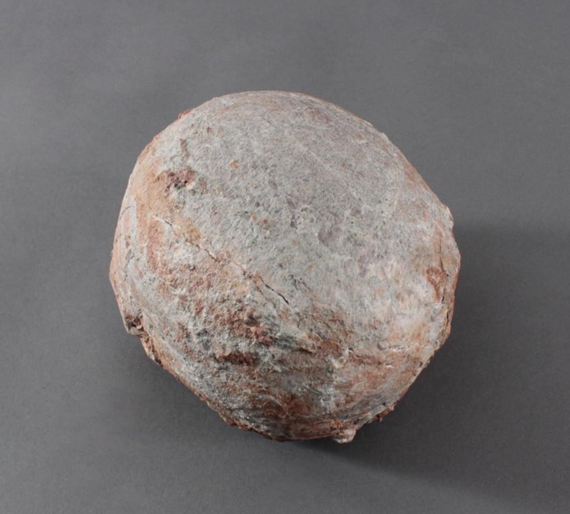 Versteinertes Dinosaurier-Ei, China ca. 80 Millionen Jahre altVersteinertes Ei mit Schlupfloch, - Image 4 of 5