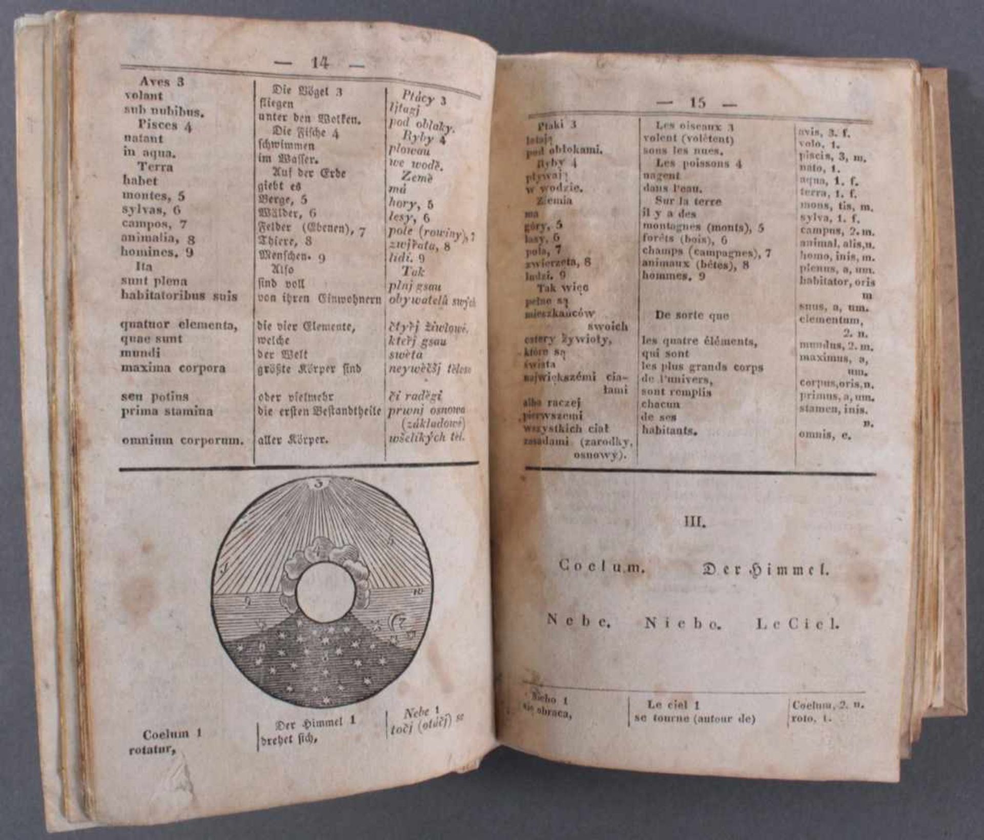 Wörterbuch von 1832, Latein, Deutsch, Französisch und TschechischBuch wurde restauriert und der - Bild 3 aus 3