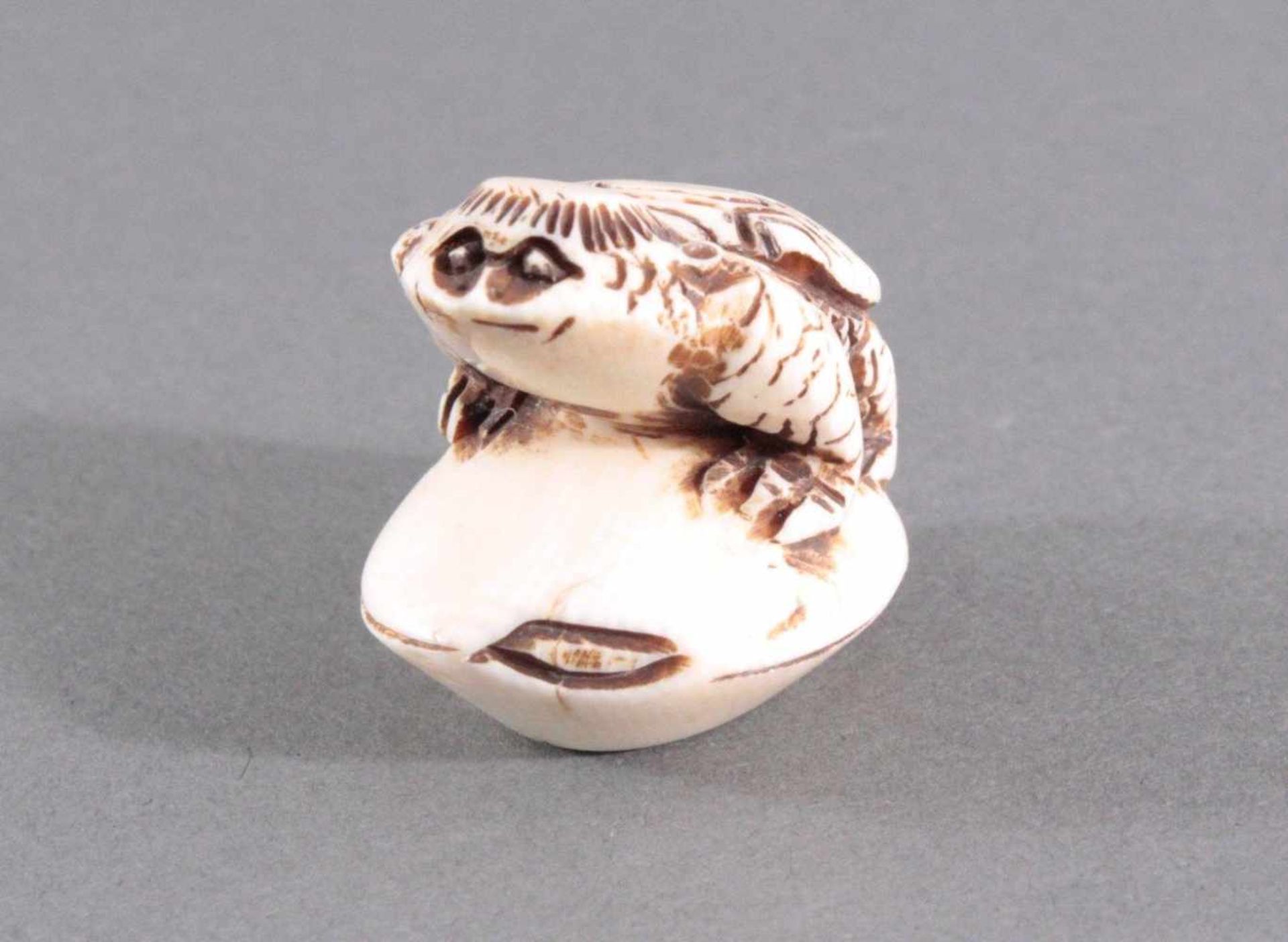 Netsuke, Japan 1. Hälfte 20. Jh., Elfenbein geschnitztVollplastische Schnitzerei, Schildkröte auf