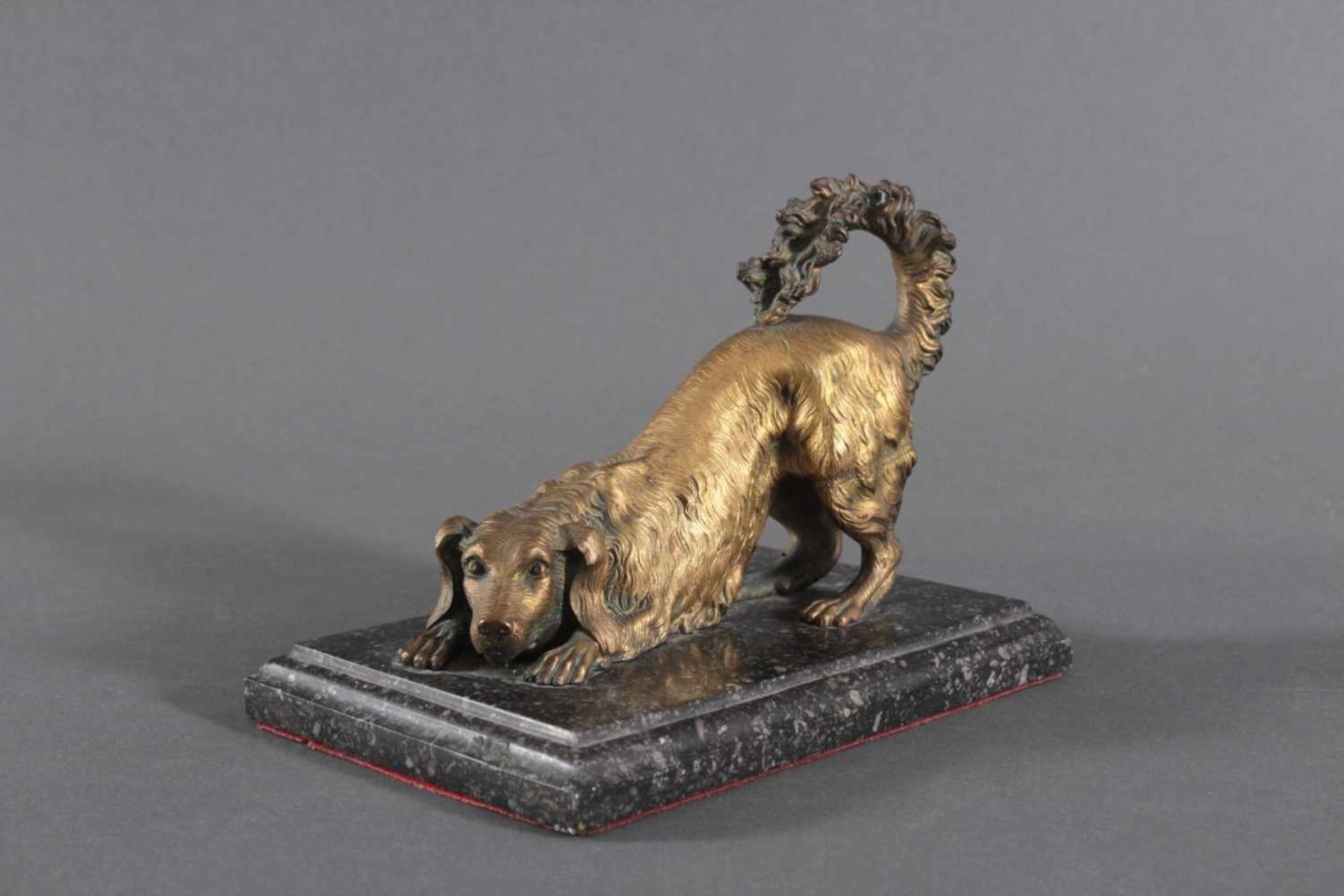 Wiener Bronze-Skulptur "Jagdhund" um 1900Lauernder Hund auf Marmorplinthe, unsigniert,