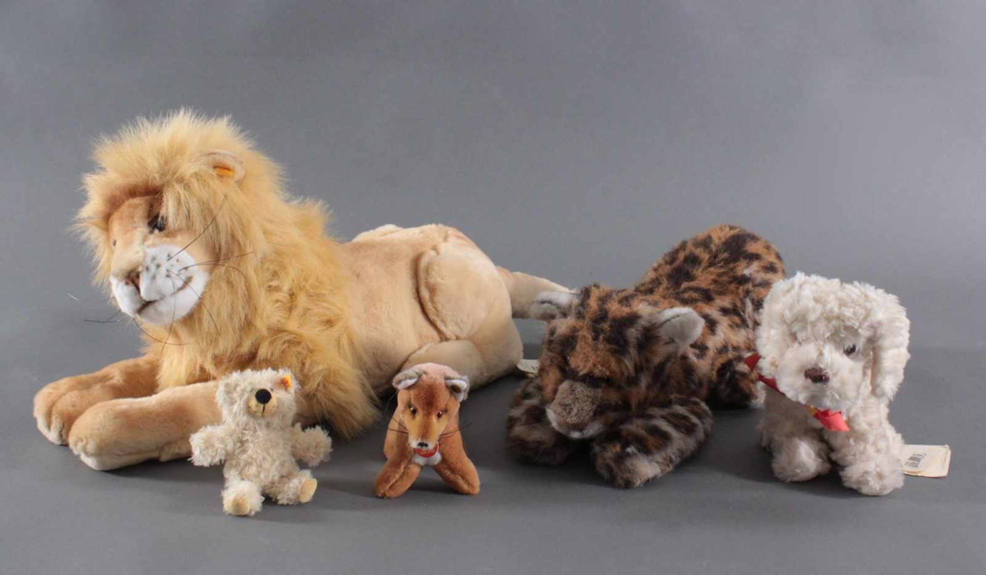 Steiff Tiere, 5 Stück, aus den 80er JahrenMolly﻿ Leo, liegend,mit Knopf und Zettel, Leopard liegend,