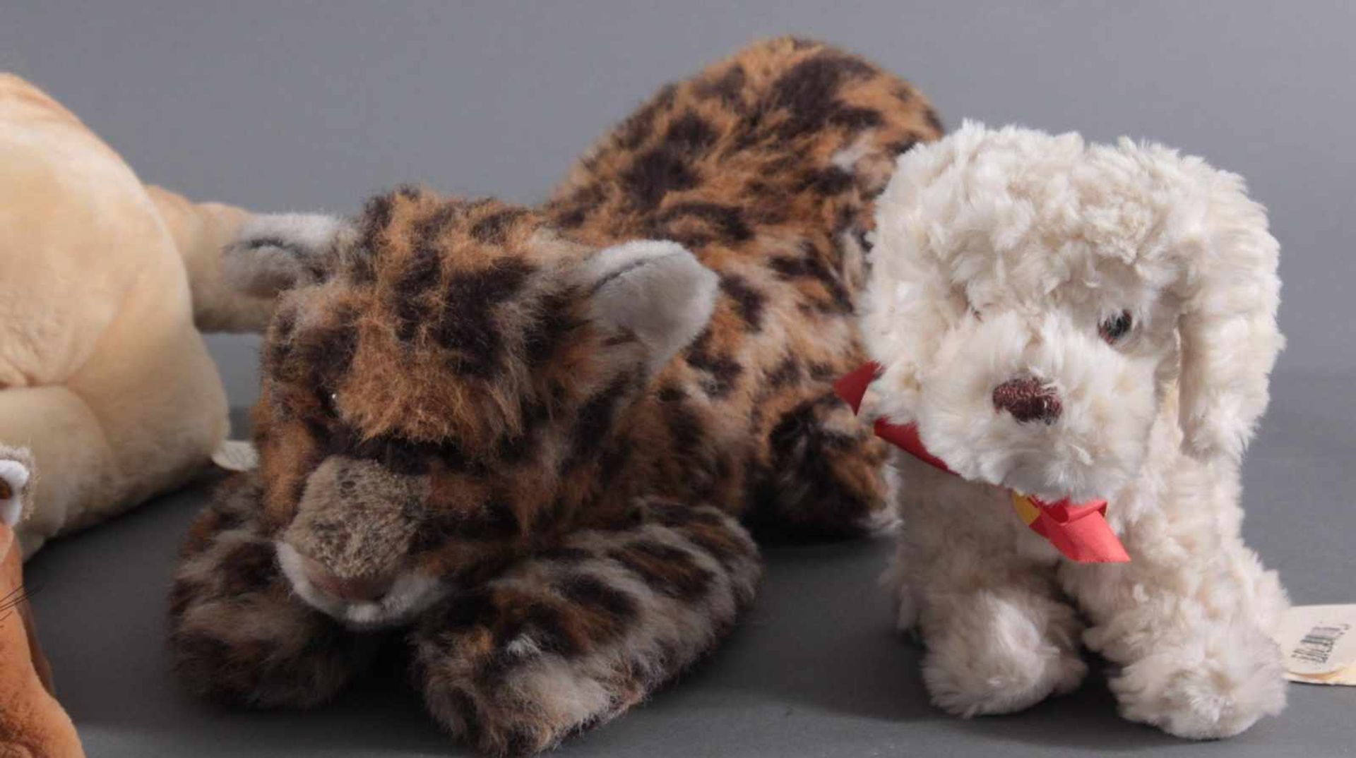 Steiff Tiere, 5 Stück, aus den 80er JahrenMolly﻿ Leo, liegend,mit Knopf und Zettel, Leopard liegend, - Image 3 of 3