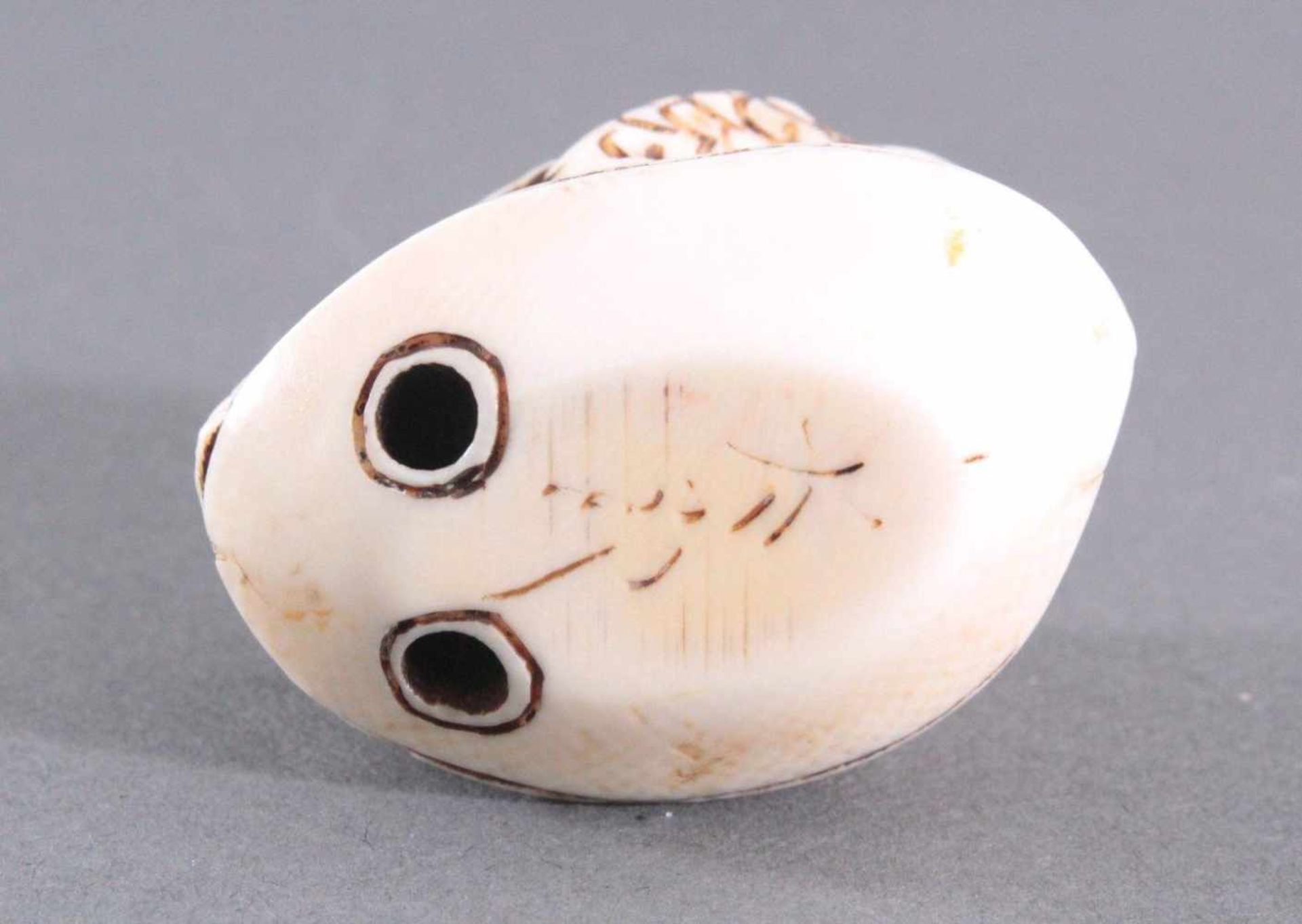 Netsuke, Japan 1. Hälfte 20. Jh., Elfenbein geschnitztVollplastische Schnitzerei, Schildkröte auf - Bild 5 aus 5