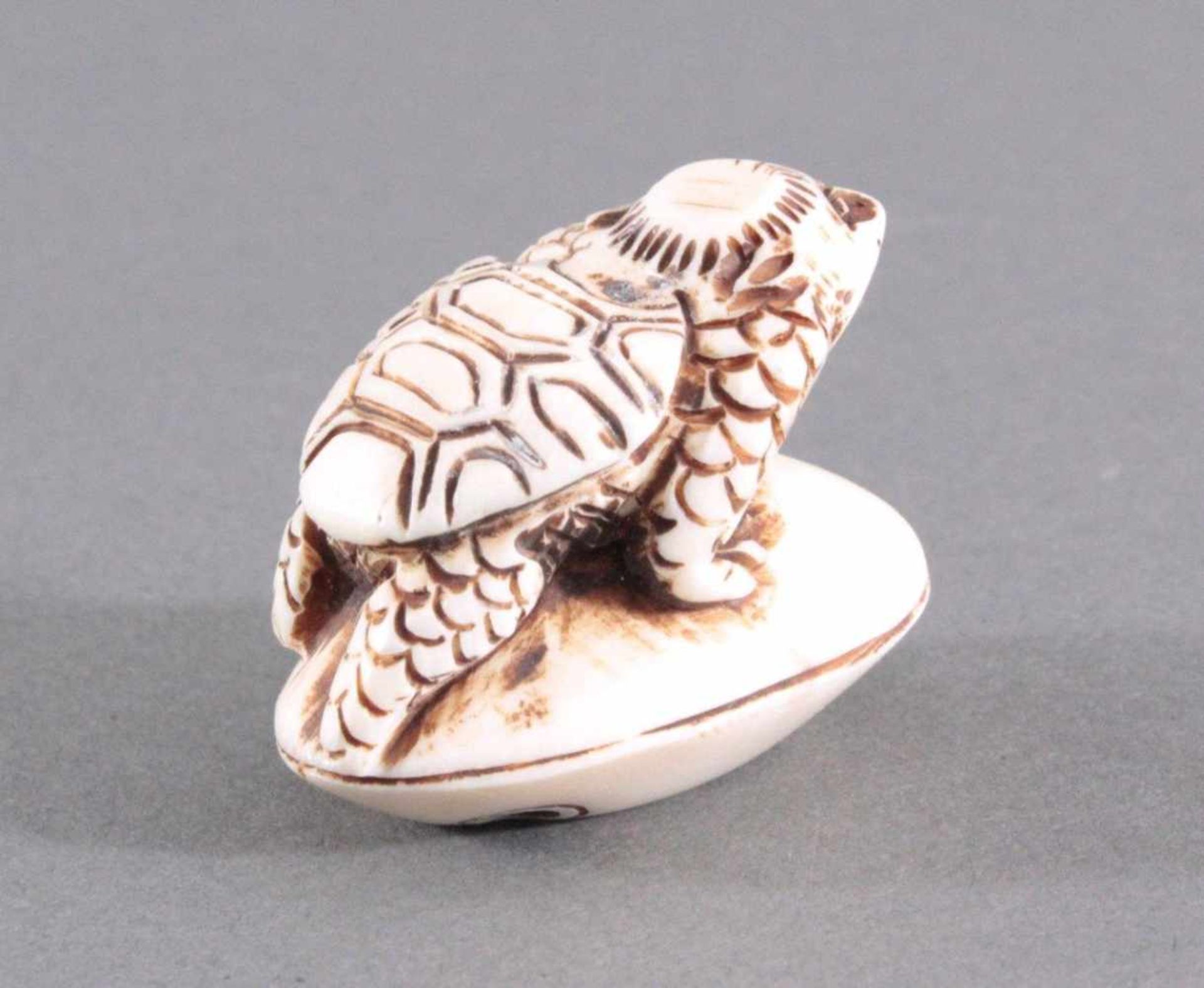 Netsuke, Japan 1. Hälfte 20. Jh., Elfenbein geschnitztVollplastische Schnitzerei, Schildkröte auf - Bild 4 aus 5