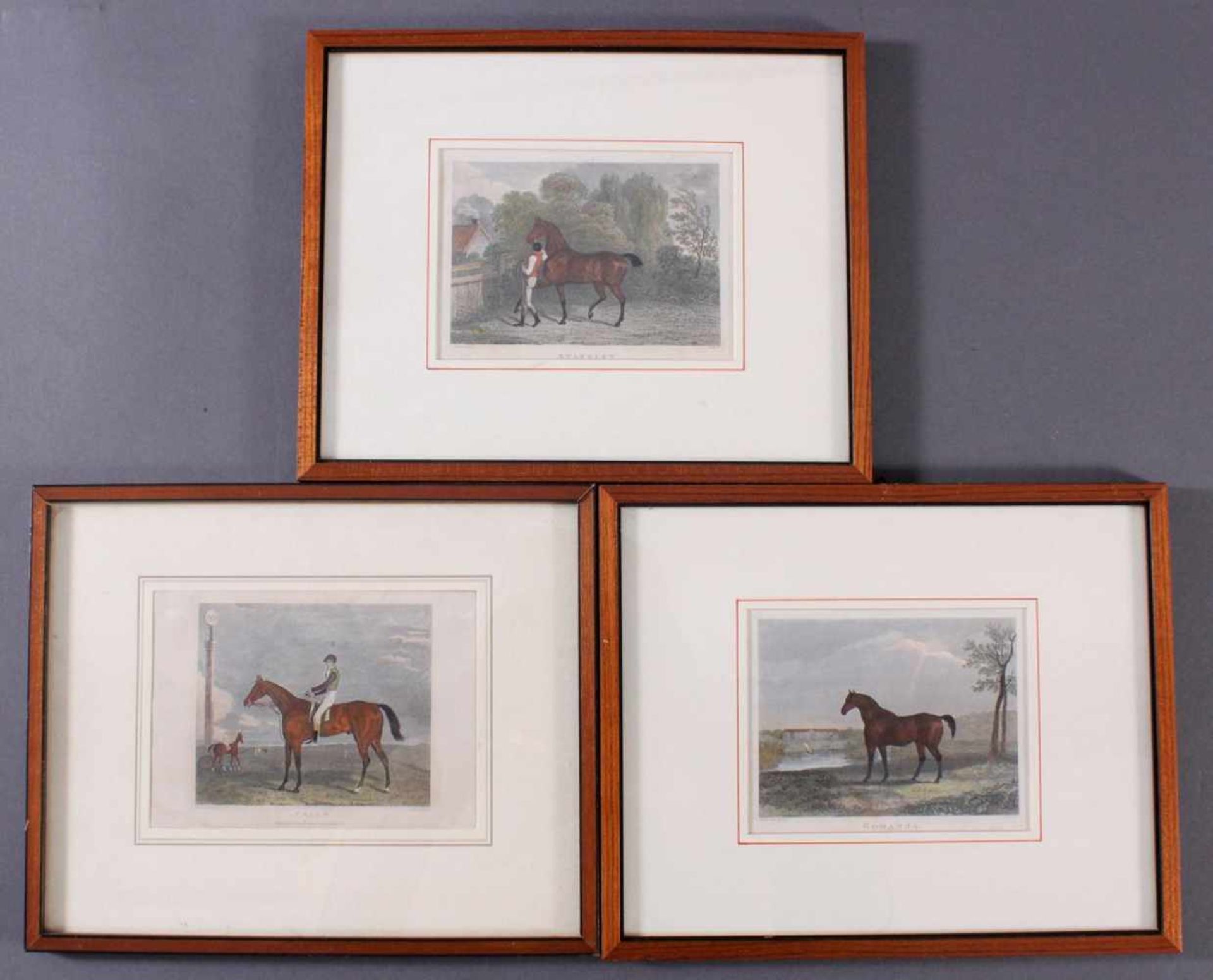 Drei Lithographien zum Thema Pferde3 verschiedene Lithographien, Bezeichnet, "Priam", "Gohanna", "
