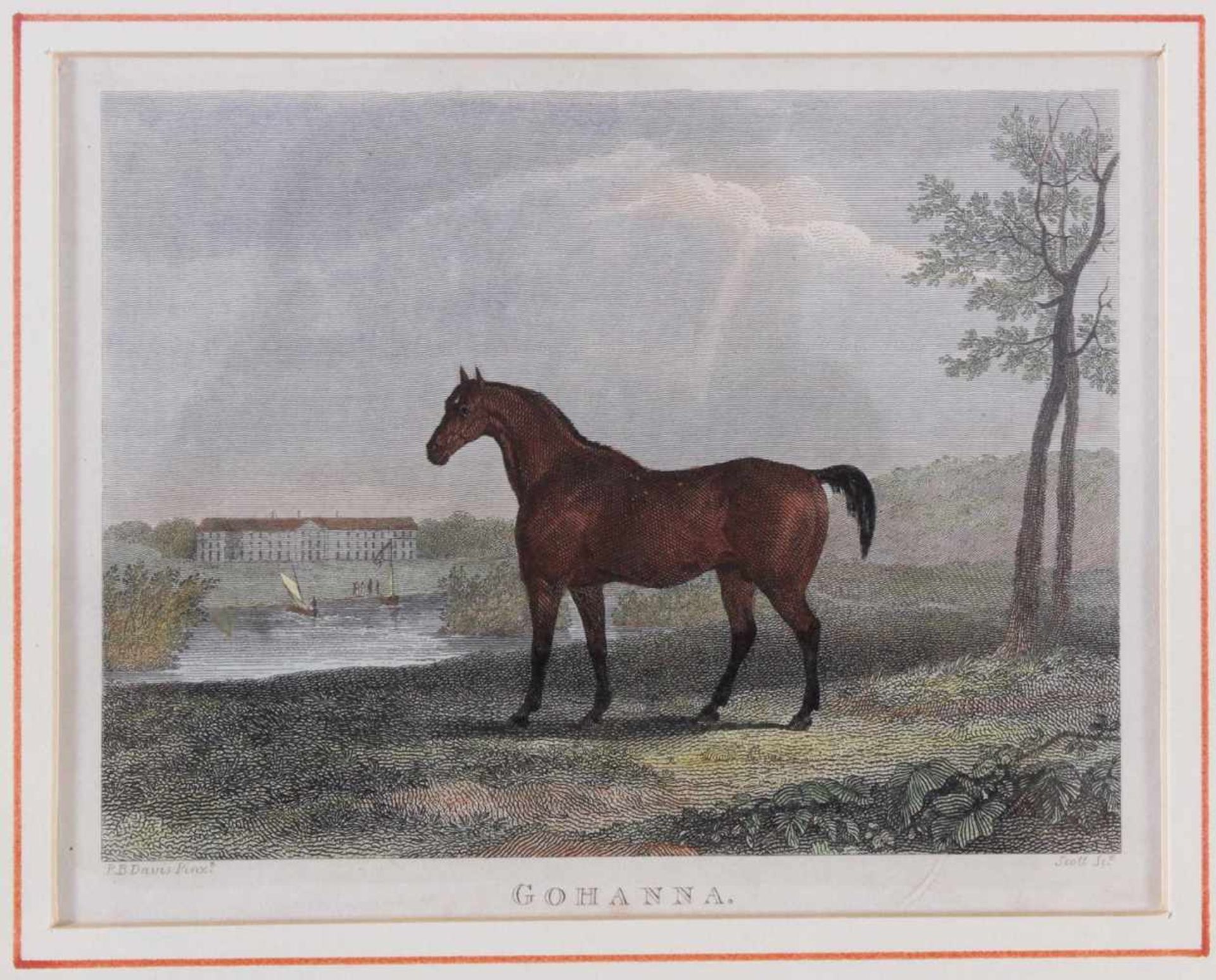 Drei Lithographien zum Thema Pferde3 verschiedene Lithographien, Bezeichnet, "Priam", "Gohanna", " - Image 2 of 4