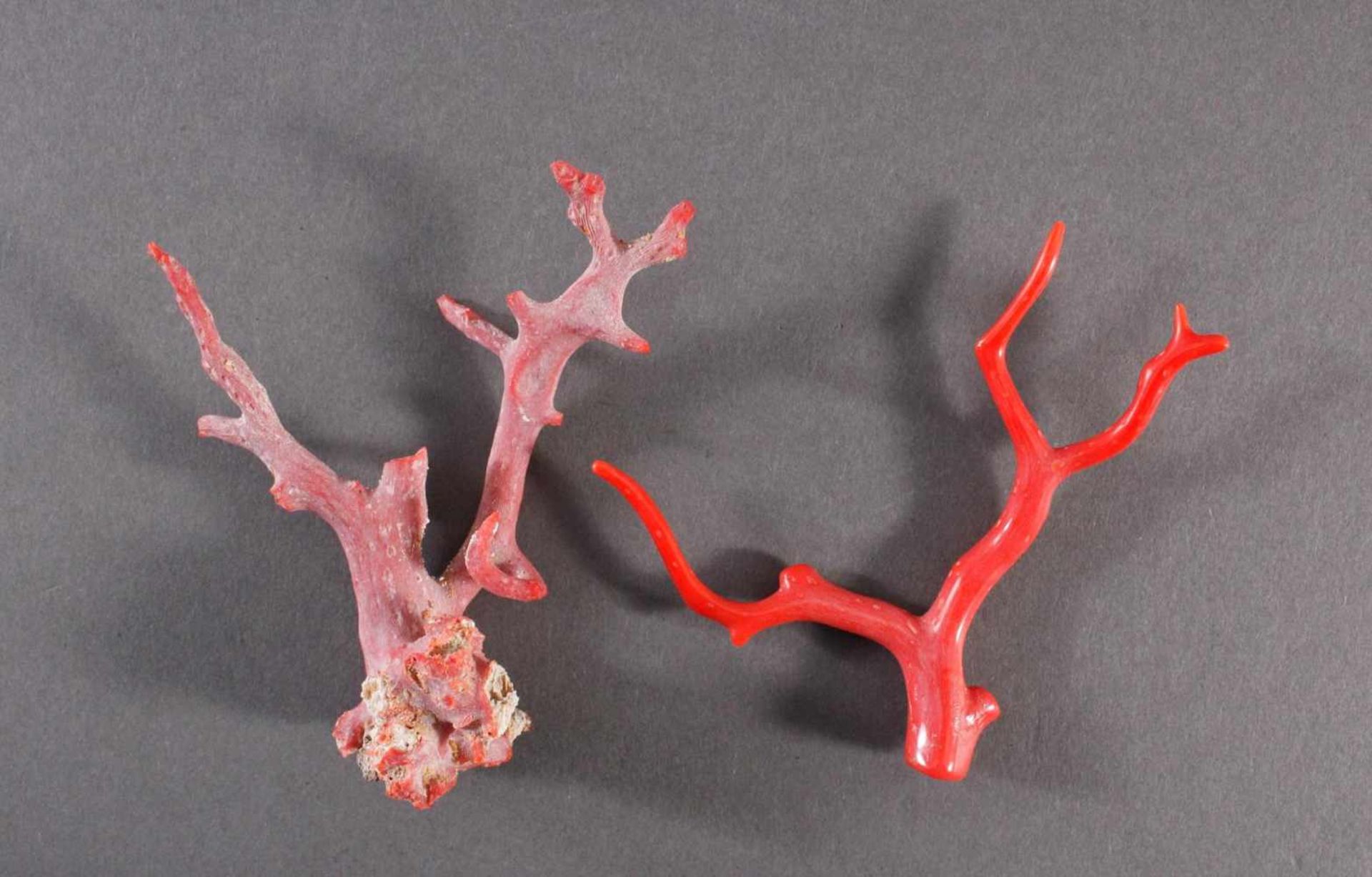 2 natürliche Korallenäste, rote Koralleca. Höhe 8 und 9,5 cm.- - -20.00 % buyer's premium on the