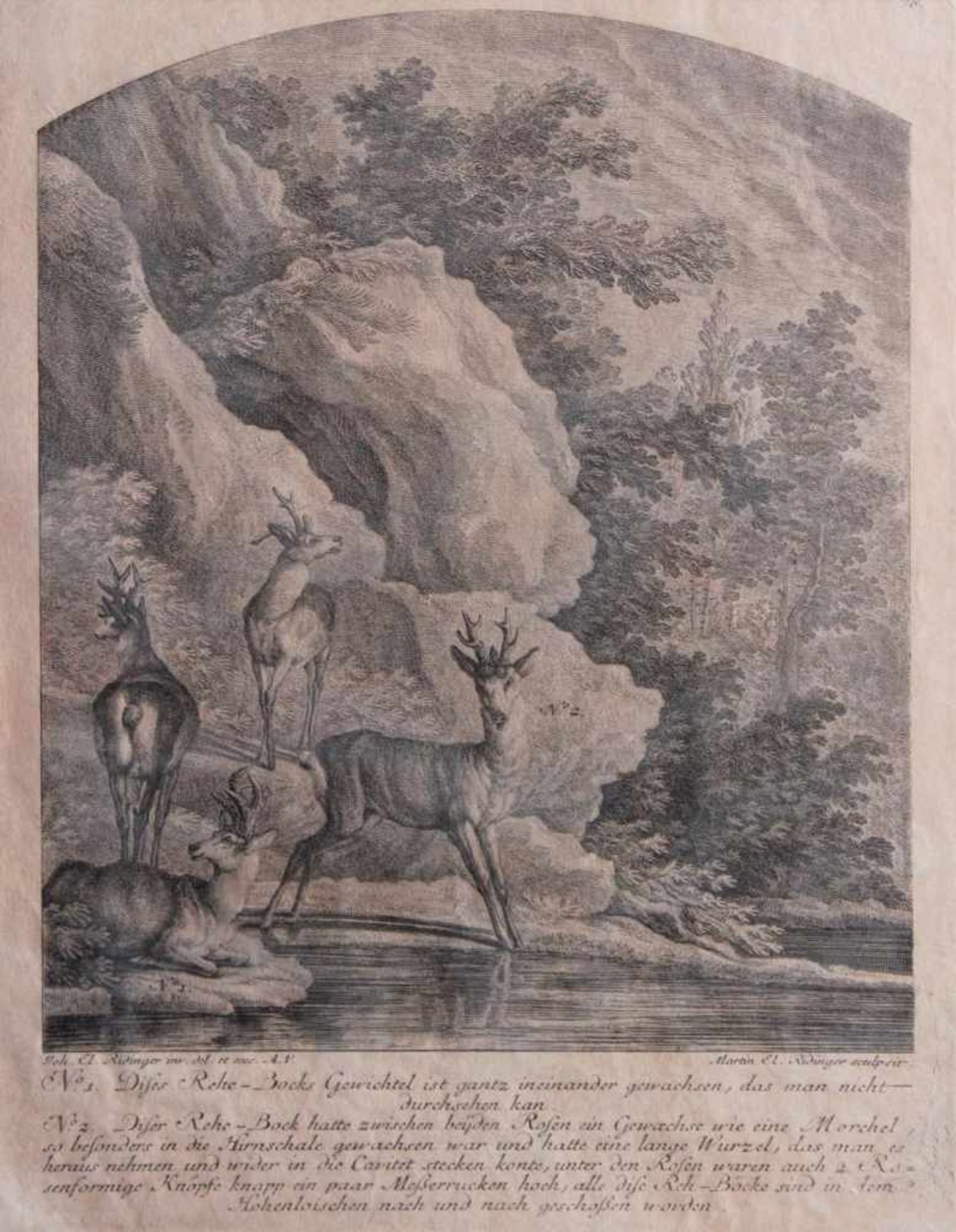 Martin Elias Ridinger (1730 - 1780) AugsburgKupferstich, nach Johann Elias Ridinger, "Vier Rehe - Image 2 of 4