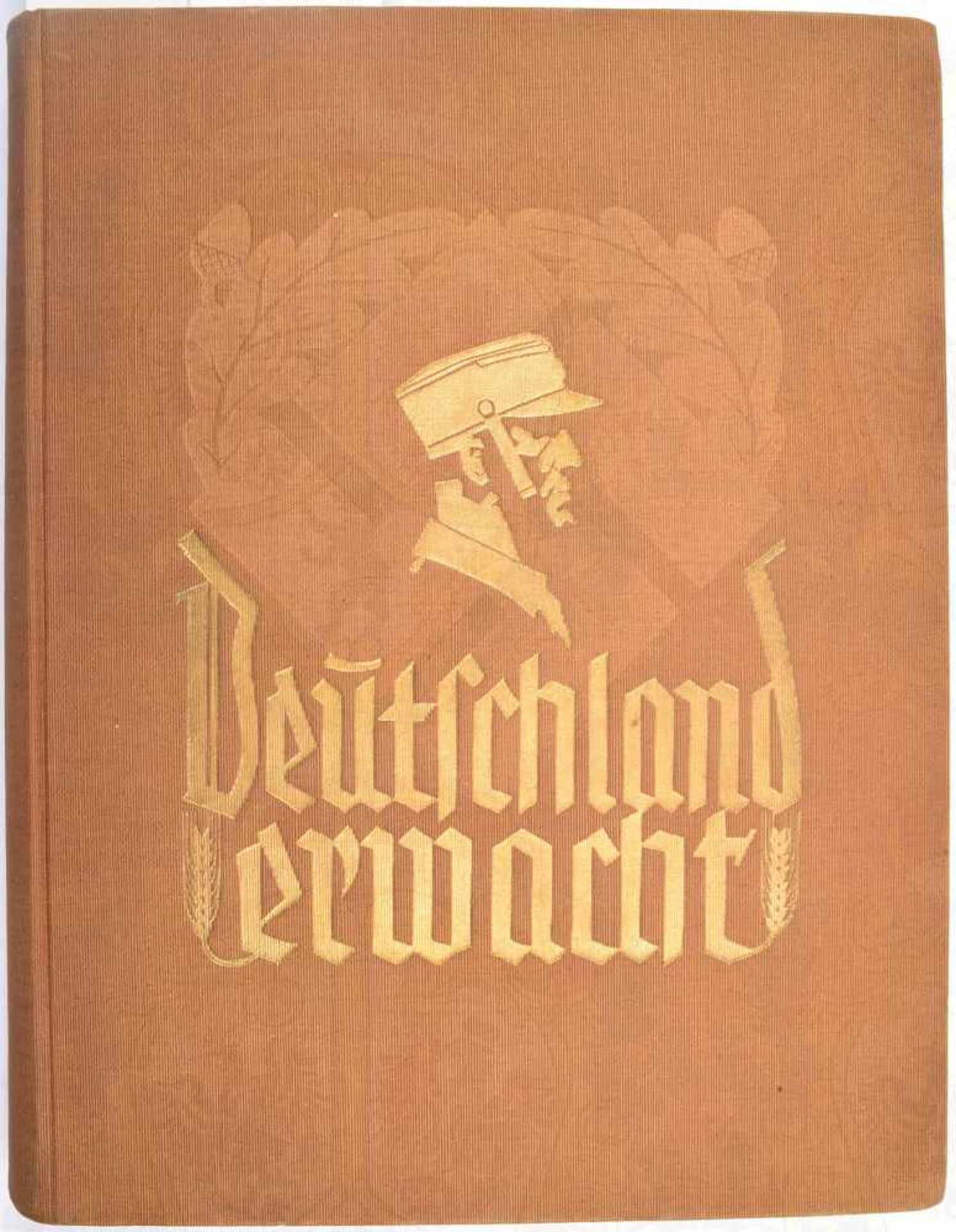 DEUTSCHLAND ERWACHT, „Werden, Kampf und Sieg der NSDAP“, 101. Tsd., Reemtsma Hamburg um 1935, kpl.