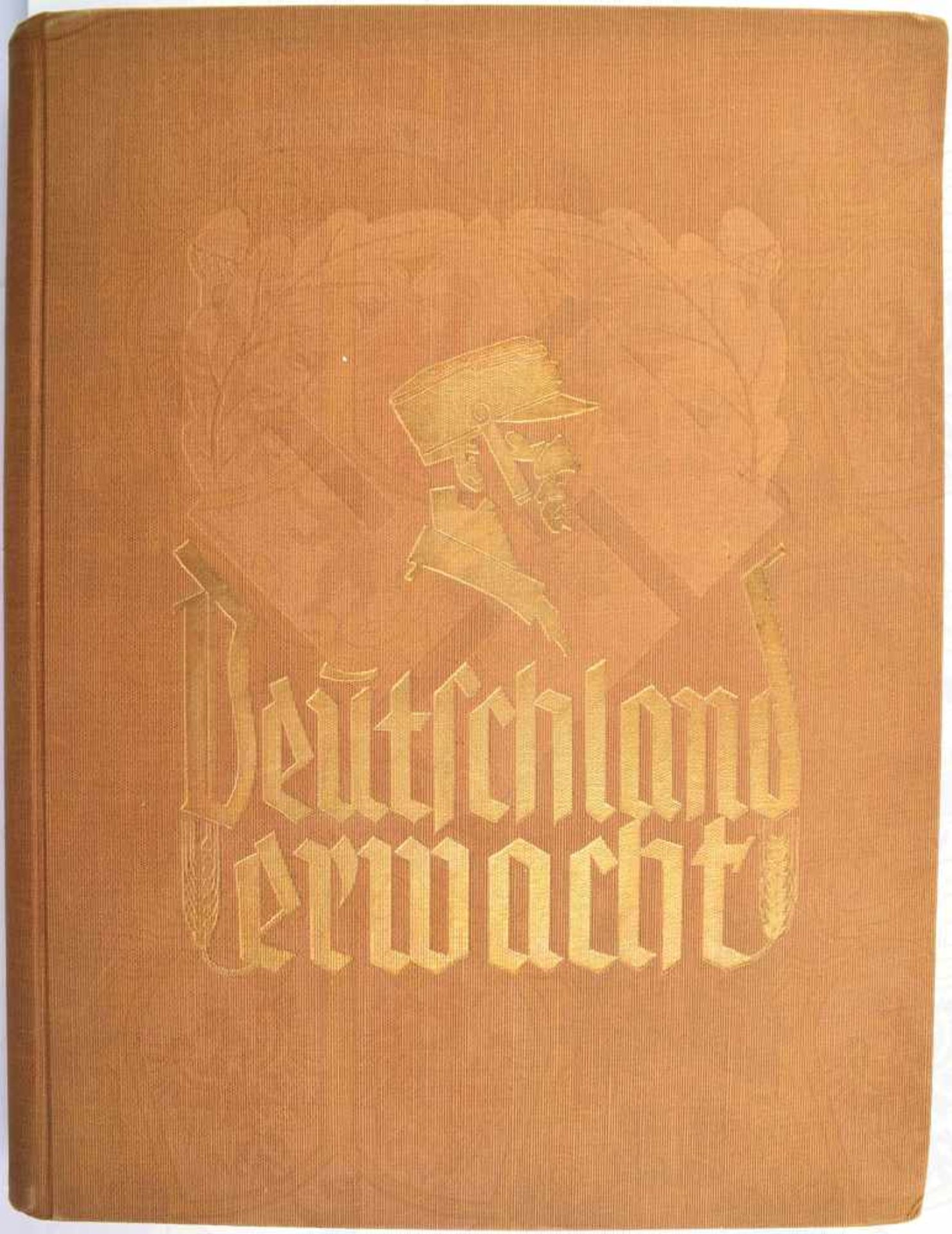 DEUTSCHLAND ERWACHT, „Werden, Kampf und Sieg der NSDAP“, 1. Auflage, Altona-Bahrenfeld 1933, 225