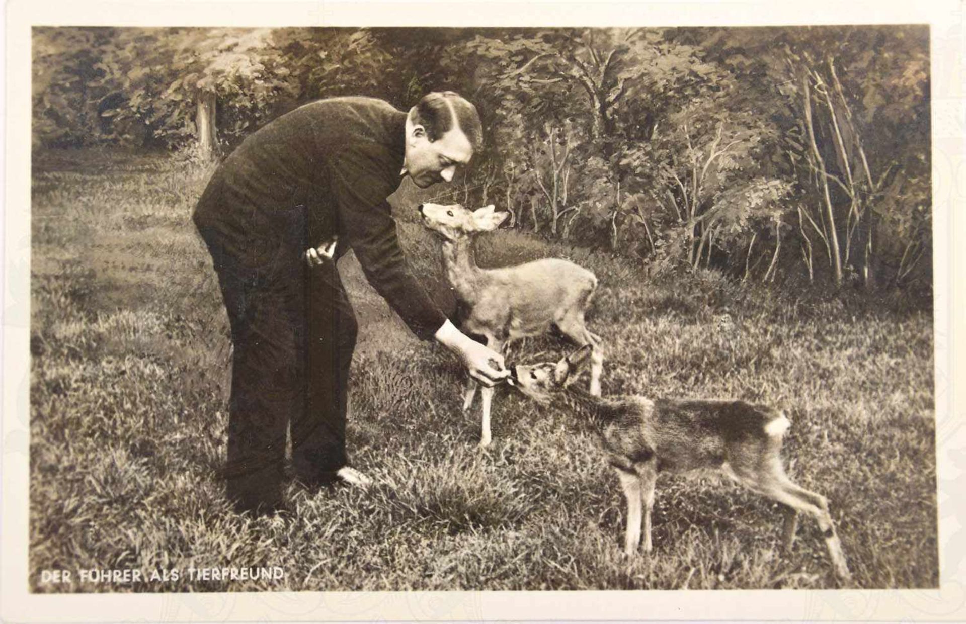 FOTO-AK „DER FÜHRER ALS TIERFREUND“, Adolf Hitler beim Füttern von Rehkitzen, Photo-Hoffmann, um