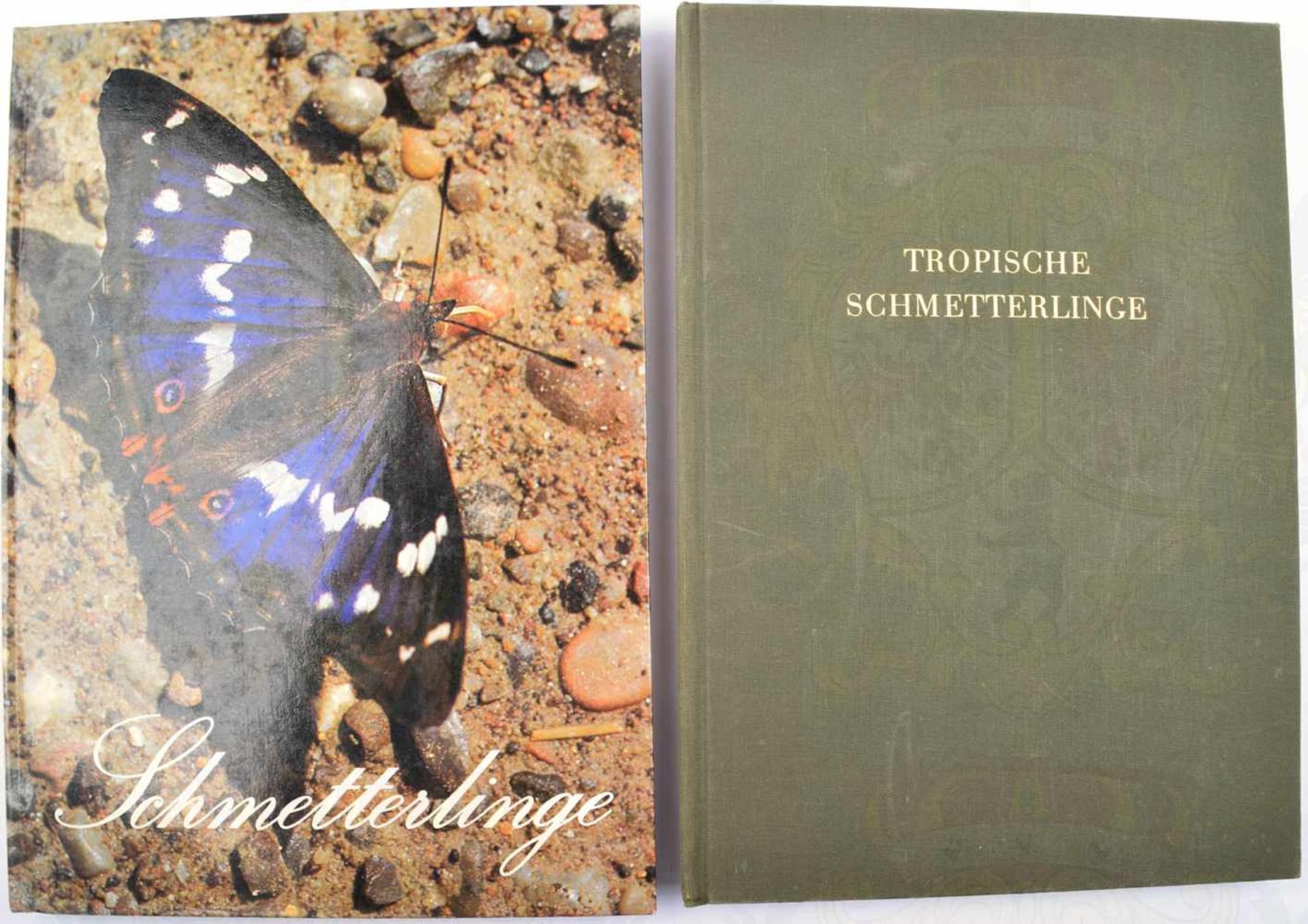 2 ALBEN SCHMETTERLINGE, Bilder aus d. Wunderwelt tropischer...; Schmetterlinge, bde. kpl. m. 64