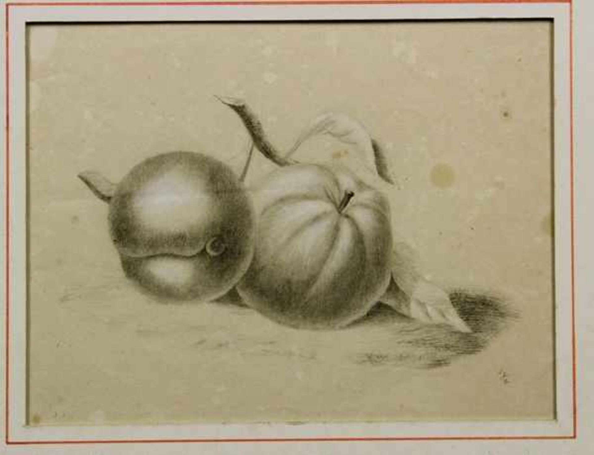 Emilie Preyer (1849 - 1930) "Stillleben mit Früchten"Bleistift, weiß gehöht auf Papier ca. 19 x 25