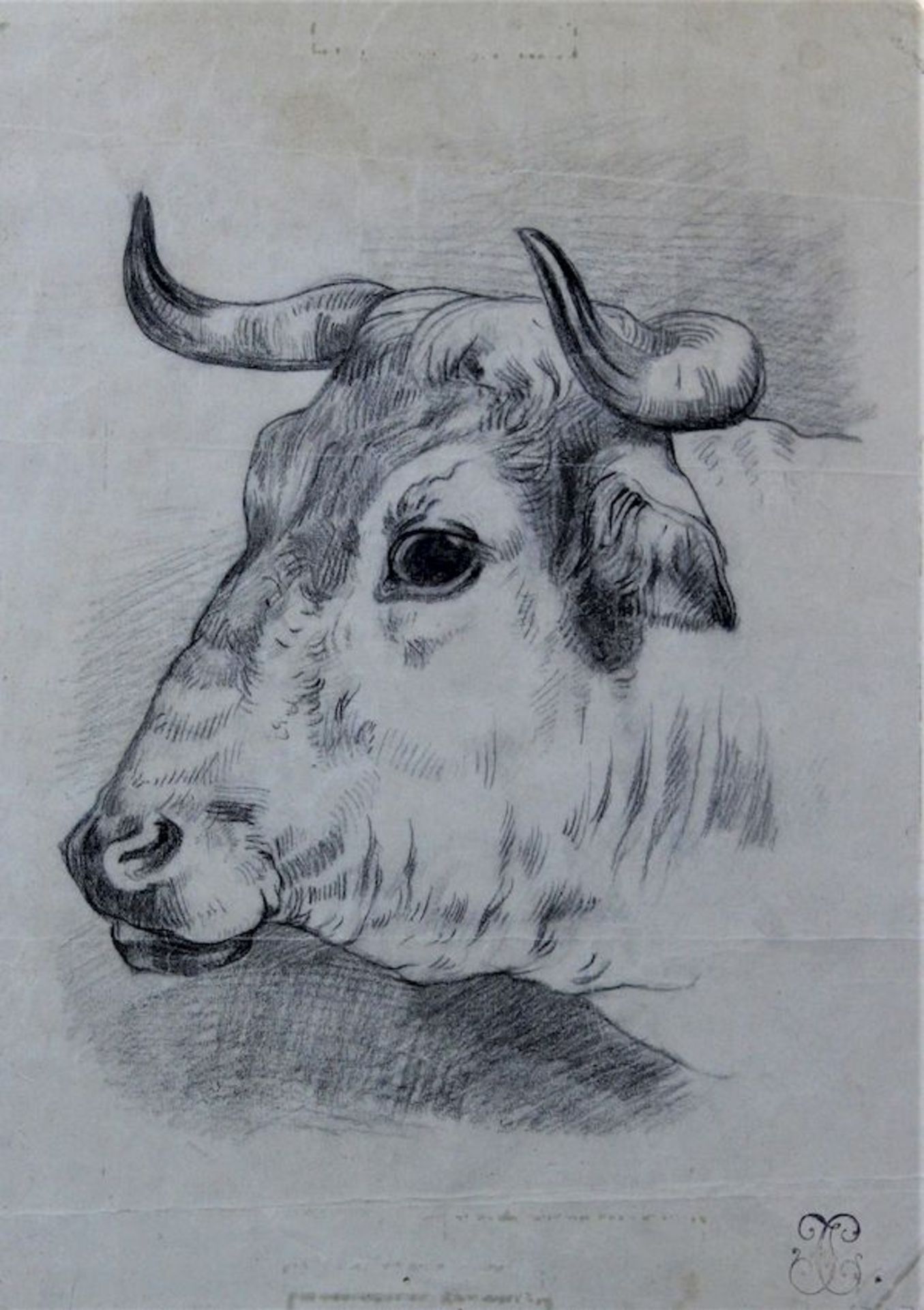 Englischer Künstler des 18.Jhd." Kopf einer Kuh " Kohle auf Papier r.u. Sammlerstempel Maße: ca. - Bild 2 aus 2
