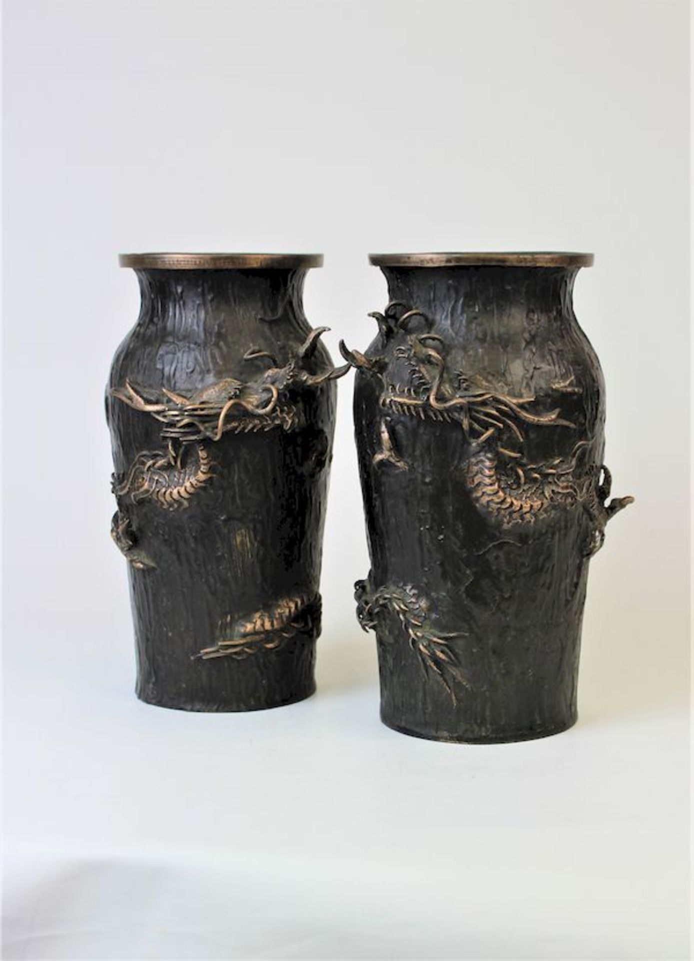 Paar Bronze Vasen mit reliefartigen Drachenmotiven, Meji - PeriodeBronze , patiniert Bodenmarken