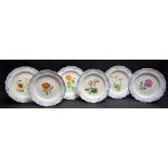 A set of six Dresden botanical plates, each with wild flower, moulded border, scored Meissen marks,