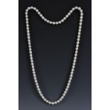 A long single strand white large bead cultured pearl necklace,