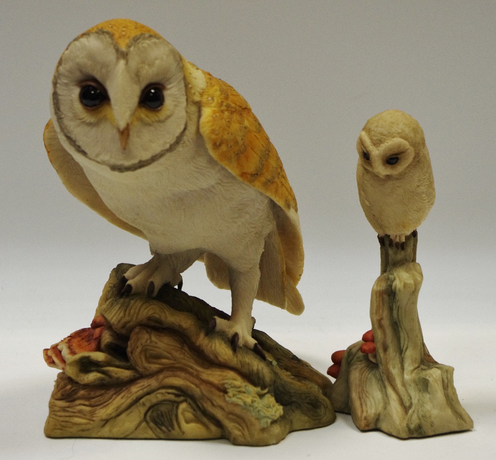 A Teviotdale model, of a barn owl,