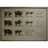After Picasso Eleven Stage from the Taupeau Framed print