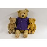 Teddy Bears - a vintage mid 20th century large golden yellow short spiked fur teddy bear,