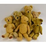 Teddy Bears - a mid 20th century long haired gold plush bear, plastic eyes, vertical nose,