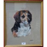 Mary Browning Jamie, portrait of a Beagle signed, titled, pastel,
