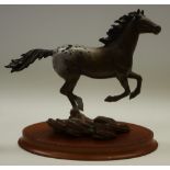 Franklin Mint bronze, 'Appaloosa Thunder on the Prairie' by Chuck Deehan, on plinth base,