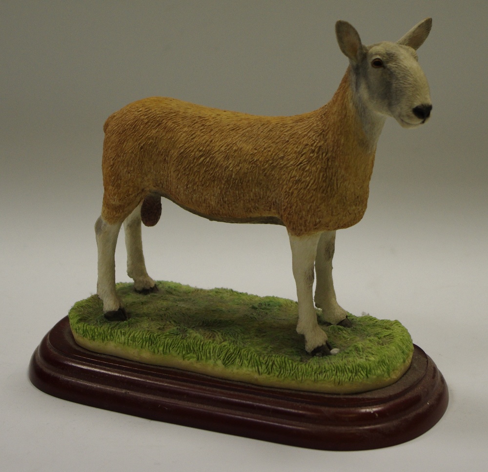 Border Fine Art sculpture 'Blue Faced Leicester Ram' A0737,