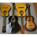 Acoustic Guitars - Herald HL44; East Coast Handmade C5452RKE; others,