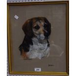 Mary Browning Jamie, portrait of a Beagle signed, titled, pastel,