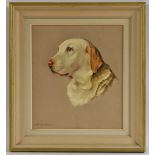 Kenneth Green (20th century) Portrait of a Golden Labrador, Cleopatra signed, oil on canvas, 43.