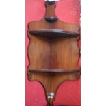 A pair of 19th century mahogany corner wall brackets,