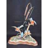 A large Border Fine Arts study of Kingfishers, numbered 495/750,