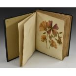 An interesting 19th century herbarium, containing pressed botanical specimens of grasses, ferns,