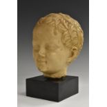 A British Museum composition model, head of a young boy, after an Antique marble, square base,