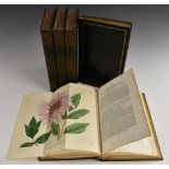 Binding - Botany - Edwards (Sydenham),