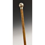 An early 20th century silver mounted bull's pizzle walking cane, quite plain,