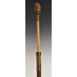A Japanese bamboo gentleman's horse measuring stick, burr pommel, white metal collar,