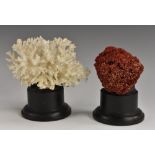 Natural History - a coral specimen, 12cm wide, mounted for display; another,