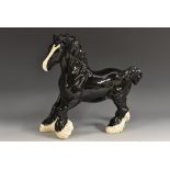 A Beswick Black Cantering Shire horse, black gloss with white feathering, 22.