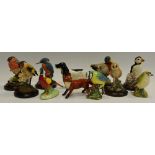 Model - a set of 'Country Artists' birds including mallard, owl, kingfisher, puffin,
