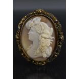 A Victorian carved shell cameo brooch.