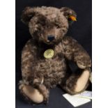 A Steiff teddy bear, classic 1920's style, brown mohair, with growler,
