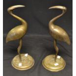 An early 20th century pair of Indian Ibis birds,