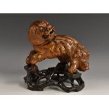 A Chinese rootwood carving, of a temple lion, the male typically seated, with paw upon a globe,