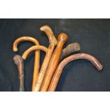 Walking Sticks, various,