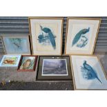 Pictures and Prints - Natural History - Ornithology,