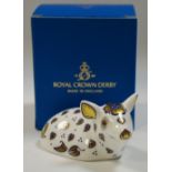 A Royal Crown Derby Paperweight, Pig - Chinese New Year, gold stopper, 1st quality,