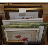 Pictures and prints- various flowers in guilt and wooden frames, quantity.