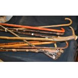 Walking sticks, horn hafted, brass handled, others,